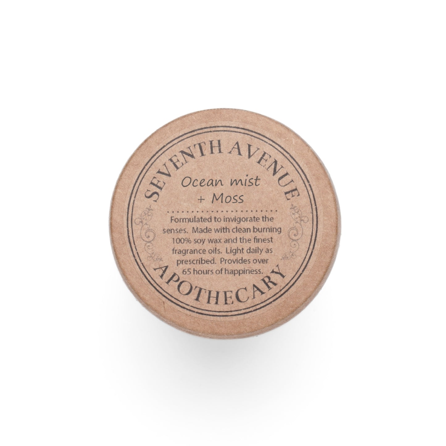 Ocean Mist & Moss Candle – Coastal Forest Scent, Soy Wax | Stardust Cove